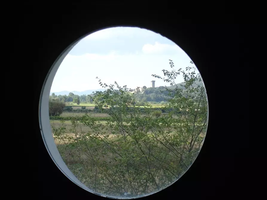 Immagine 16 di Agriturismo in vendita  a Buti