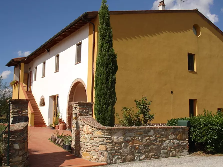 Immagine 3 di Agriturismo in vendita  a Buti