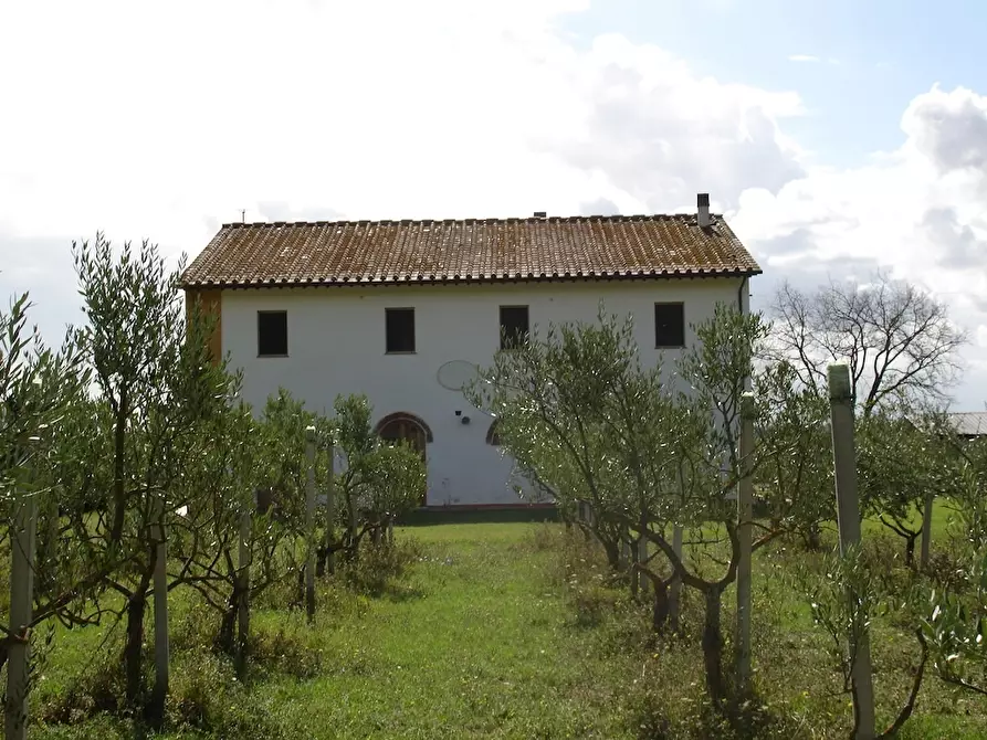 Immagine 5 di Agriturismo in vendita  a Buti