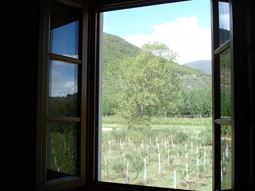 Immagine 15 di Agriturismo in vendita  a Buti