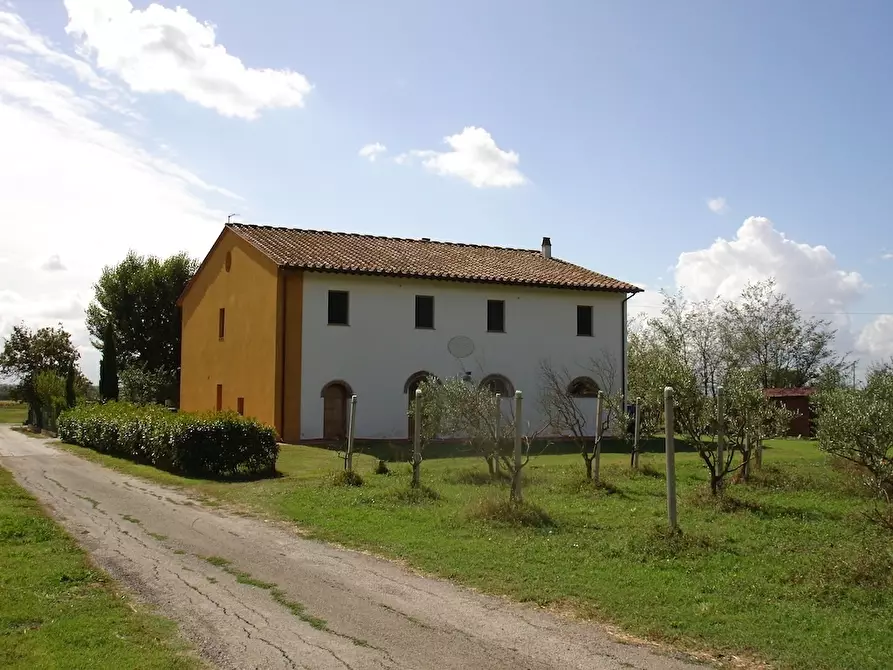 Immagine 4 di Agriturismo in vendita  a Buti