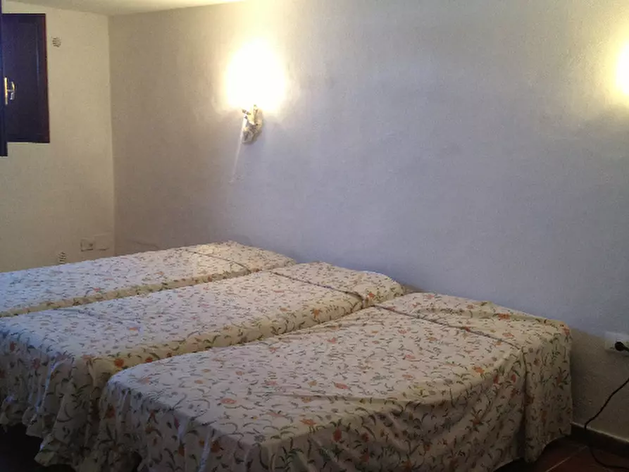 Immagine 15 di Appartamento in affitto  a Pisa