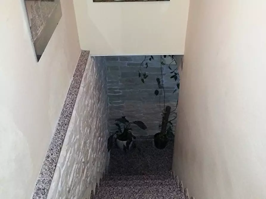 Immagine 6 di Terratetto in vendita  a Santa Maria A Monte