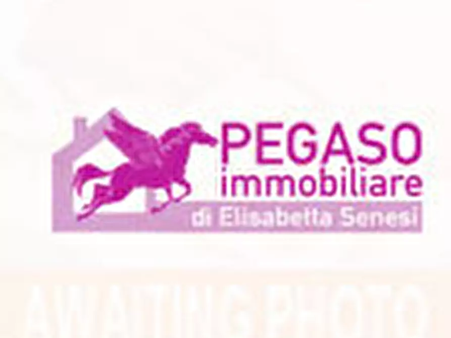 Immagine 2 di Locale commerciale in vendita  a Casciana Terme Lari