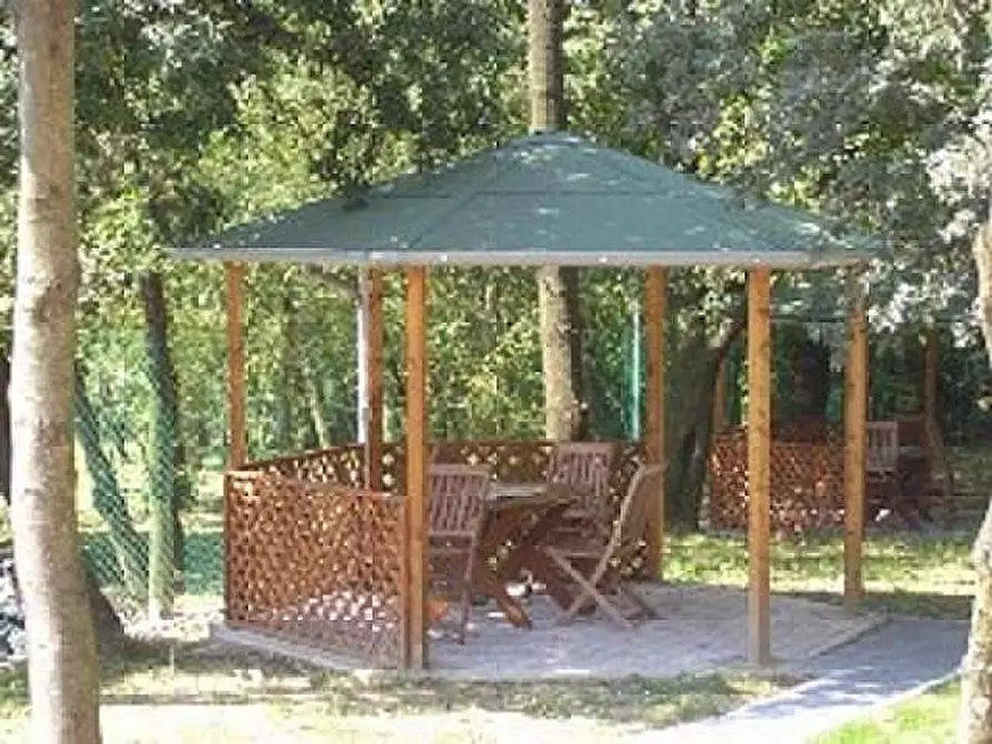 Immagine 2 di Attività commerciale in affitto  a Santa Maria A Monte