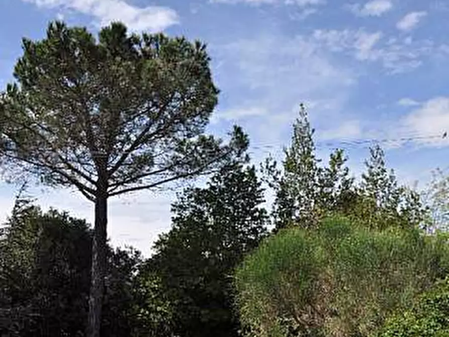 Immagine 8 di Villa in vendita  a Fauglia