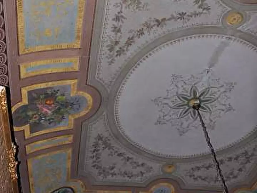 Immagine 2 di Villa in vendita  a Fauglia