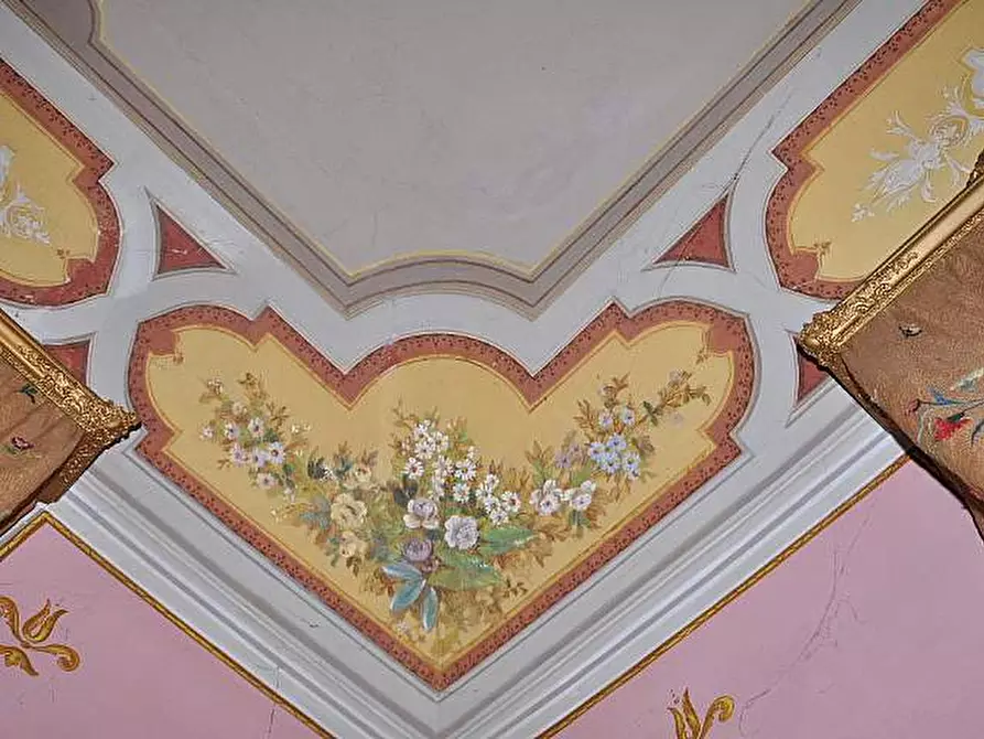 Immagine 4 di Villa in vendita  a Fauglia