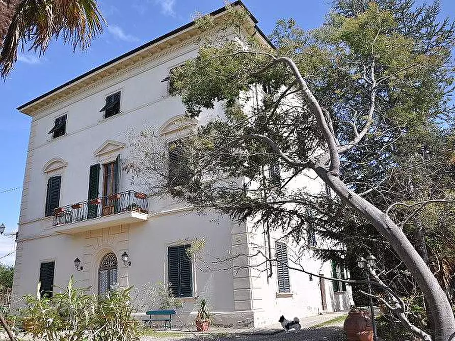 Immagine 7 di Villa in vendita  a Fauglia