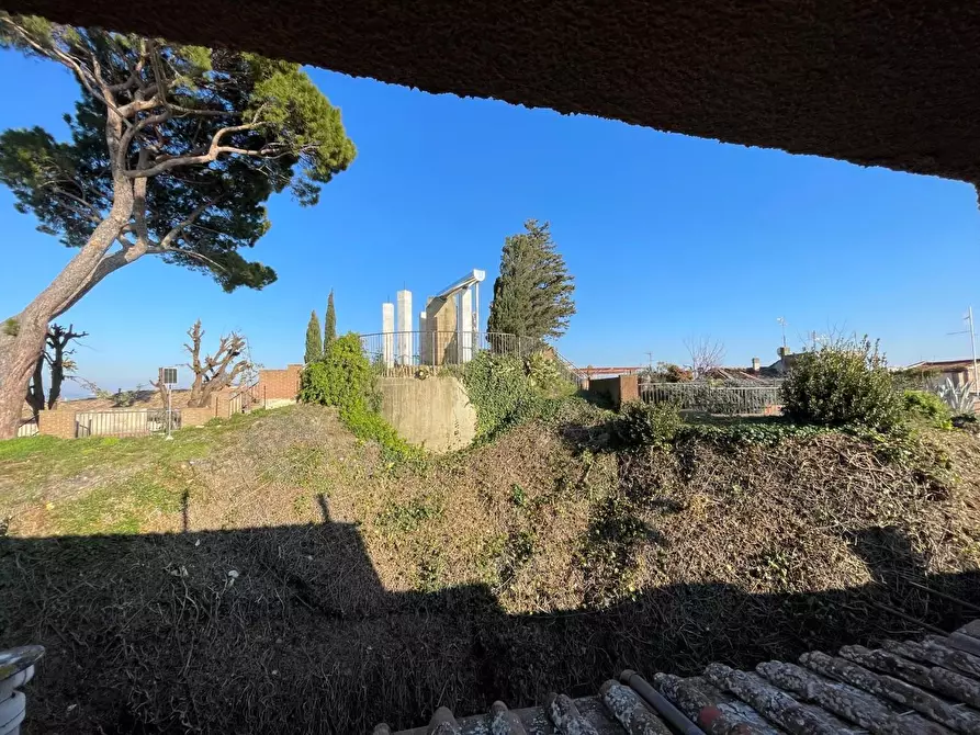 Immagine 17 di Appartamento in vendita  a Peccioli