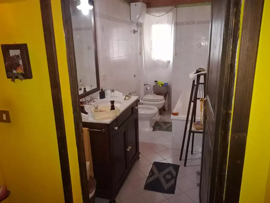 Immagine 18 di Appartamento in vendita  a San Giuliano Terme