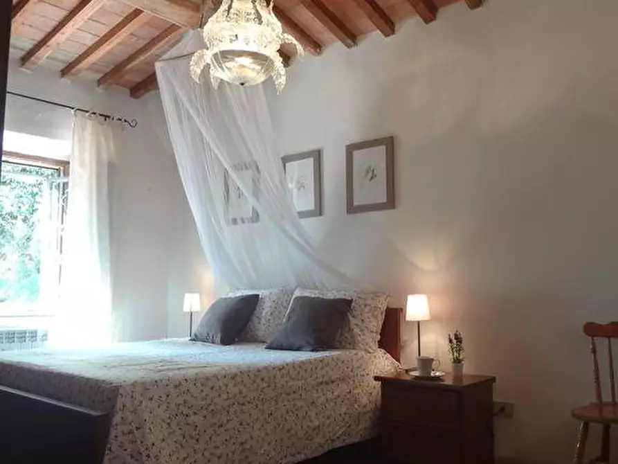 Immagine 11 di Appartamento in affitto  a Collesalvetti