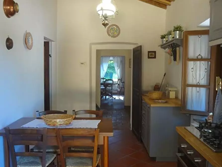 Immagine 4 di Appartamento in affitto  a Collesalvetti