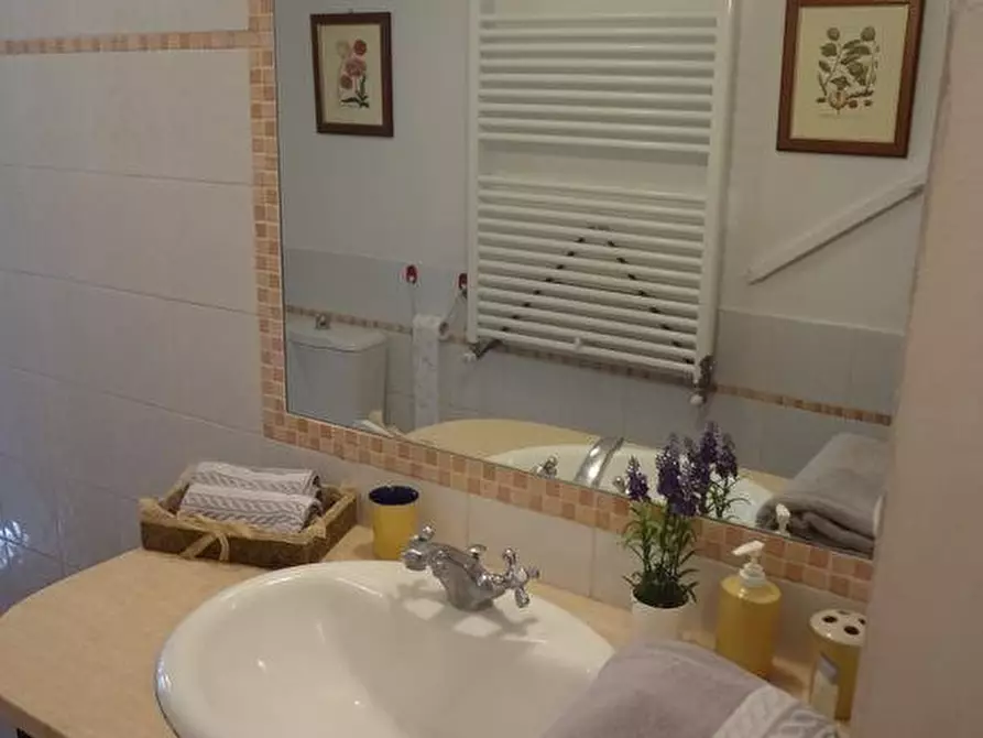 Immagine 15 di Appartamento in affitto  a Collesalvetti