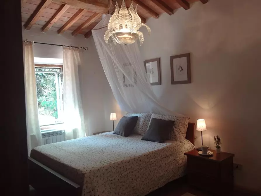 Immagine 9 di Appartamento in affitto  a Collesalvetti