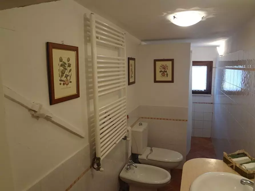 Immagine 13 di Appartamento in affitto  a Collesalvetti
