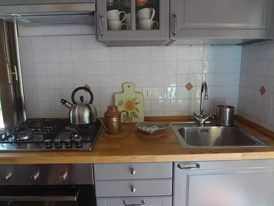 Immagine 8 di Appartamento in affitto  a Collesalvetti