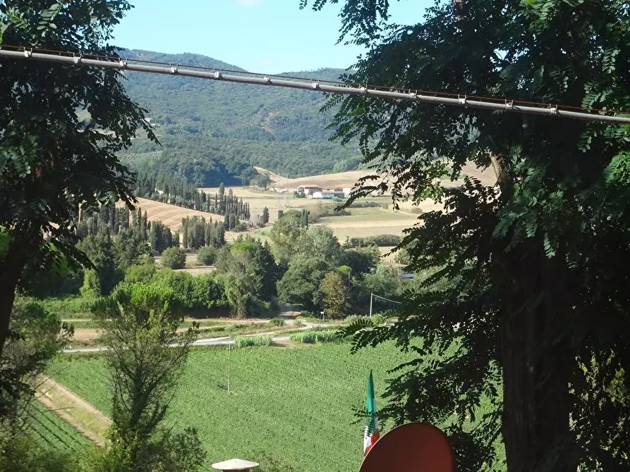 Immagine 16 di Appartamento in affitto  a Collesalvetti