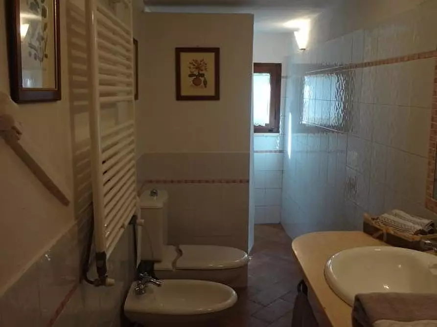 Immagine 14 di Appartamento in affitto  a Collesalvetti