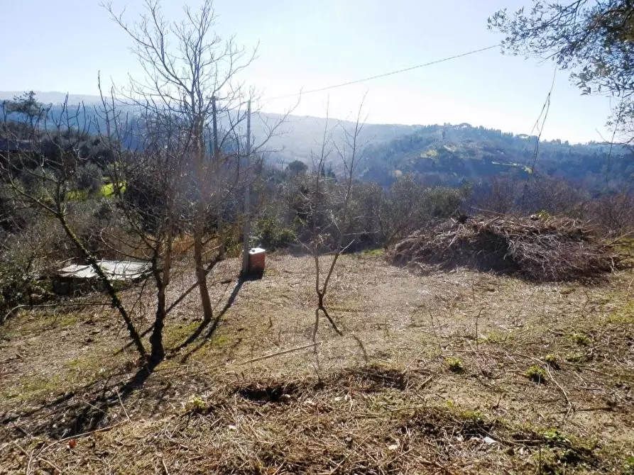 Immagine 3 di Terreno residenziale in vendita  a Casciana Terme Lari
