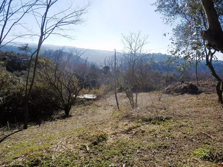 Immagine 4 di Terreno residenziale in vendita  a Casciana Terme Lari
