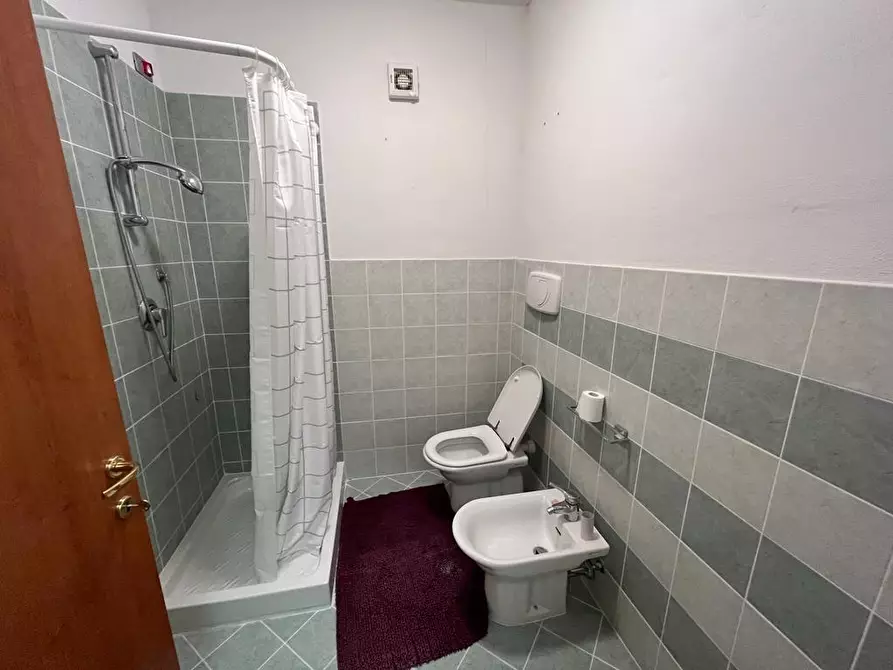 Immagine 13 di Appartamento in vendita  a Peccioli