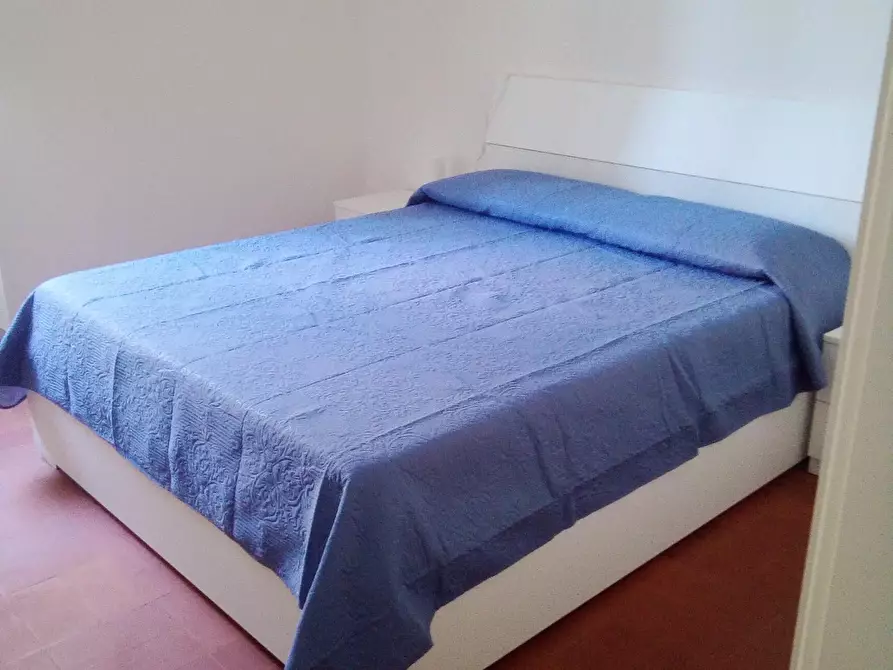 Immagine 19 di Appartamento in affitto  a Rosignano Marittimo