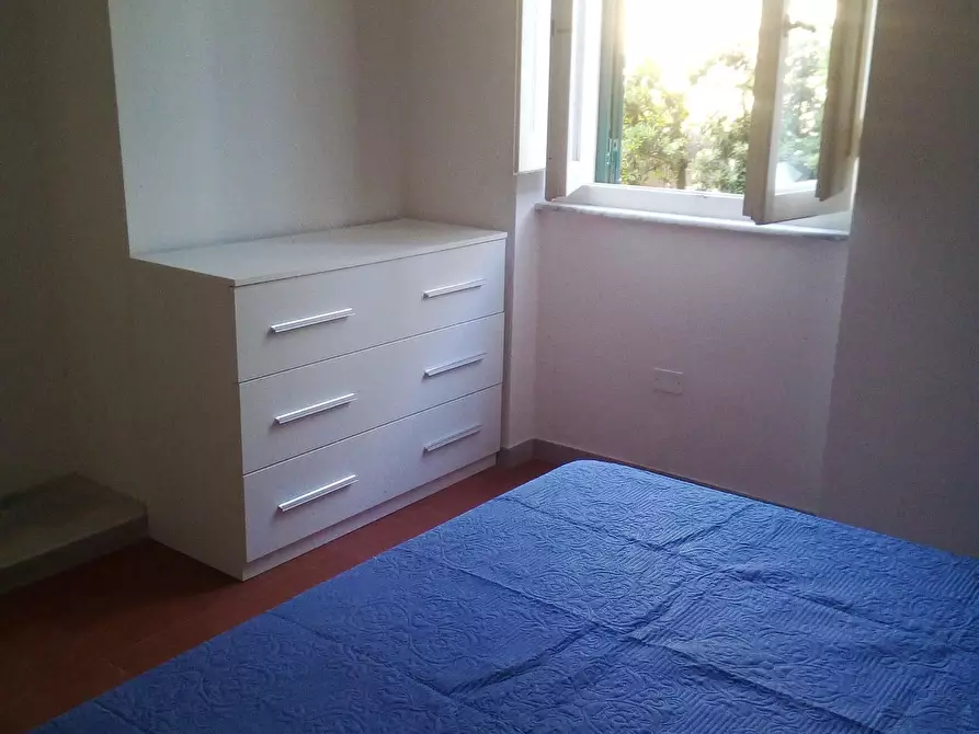 Immagine 20 di Appartamento in affitto  a Rosignano Marittimo