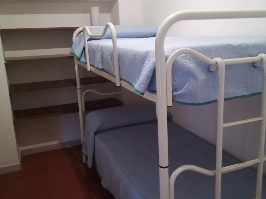 Immagine 15 di Appartamento in affitto  a Rosignano Marittimo