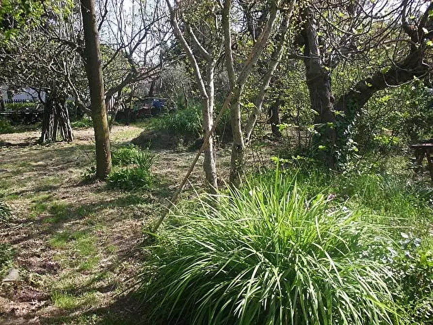 Immagine 1 di Casa colonica in vendita  a Cascina