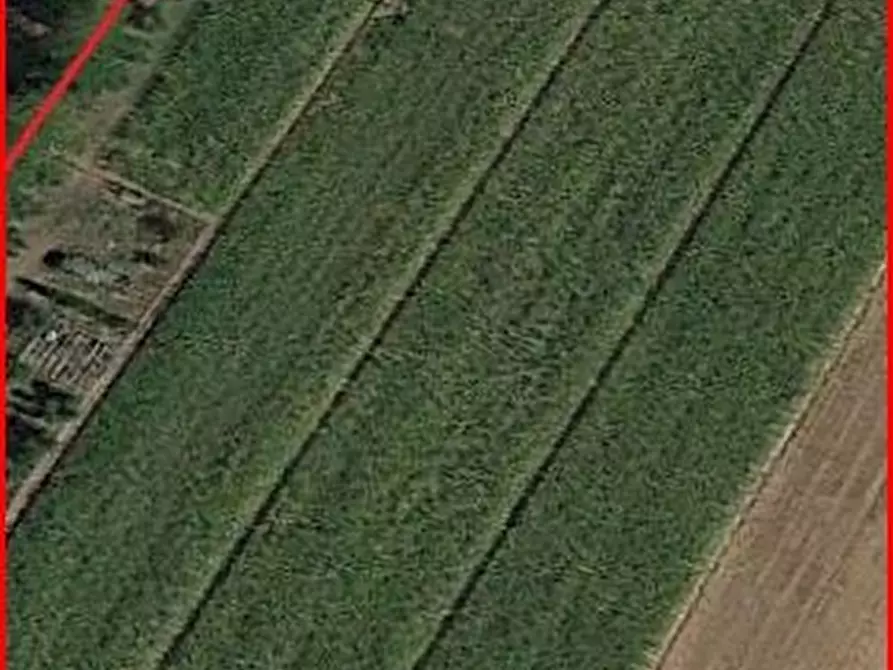 Immagine 1 di Terreno agricolo in vendita  a Cascina