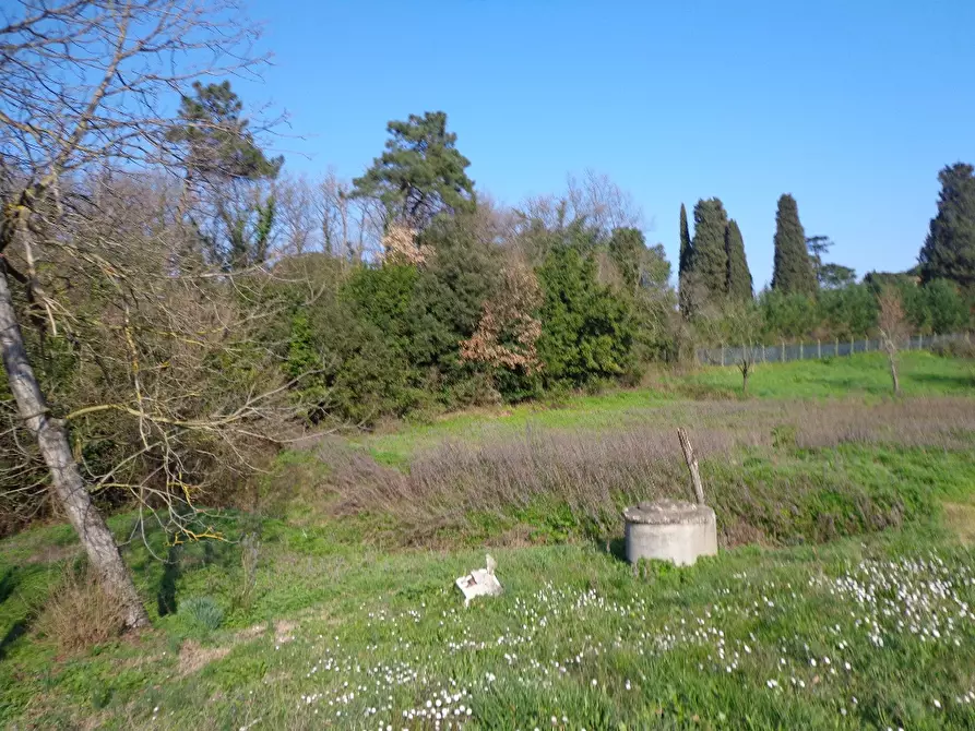 Immagine 2 di Terreno residenziale in vendita  a Fucecchio
