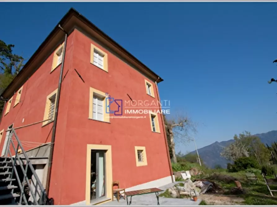 Immagine 2 di Rustico / casale in vendita  a Pietrasanta