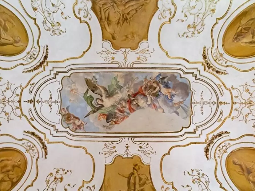 Immagine 17 di Ufficio in vendita  a Pisa