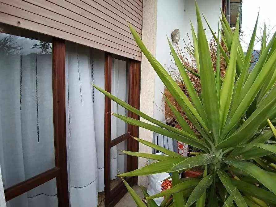 Immagine 18 di Appartamento in vendita  a San Giuliano Terme