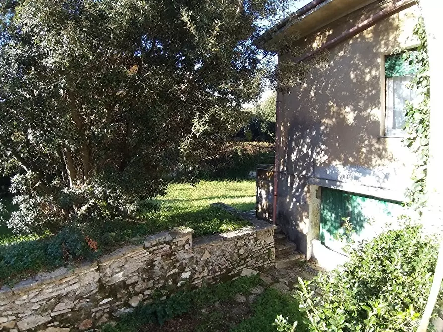 Immagine 24 di Villa in vendita  a Pisa