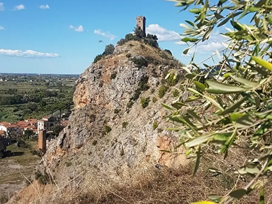 Immagine 5 di Appartamento in vendita  a Vicopisano