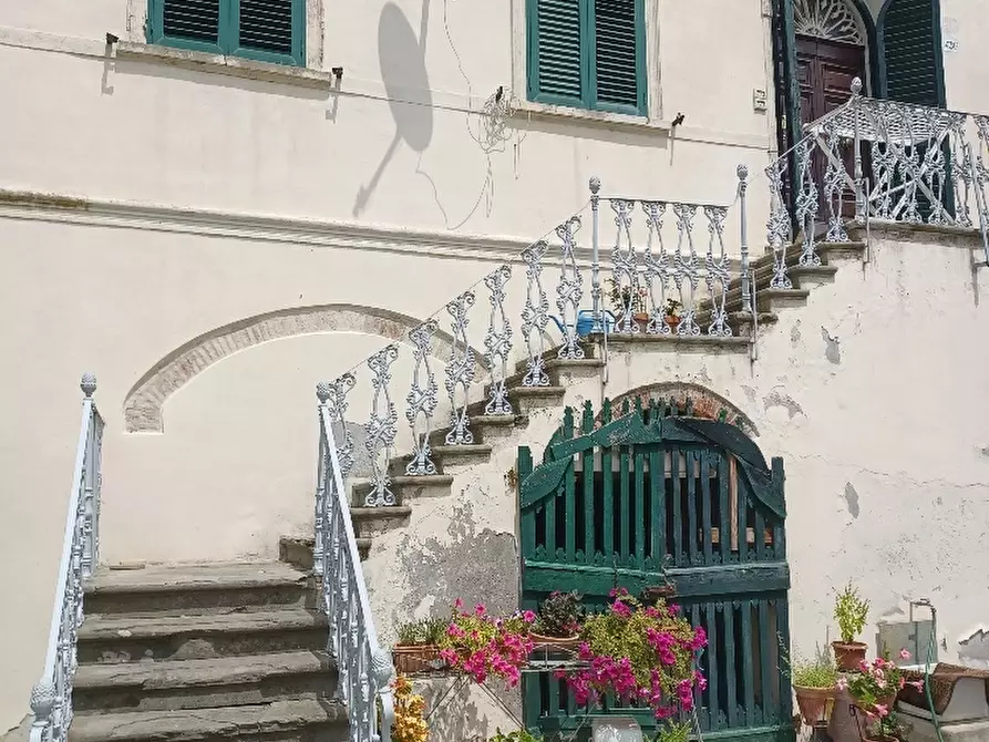 Immagine 4 di Porzione di casa in vendita  a Pisa