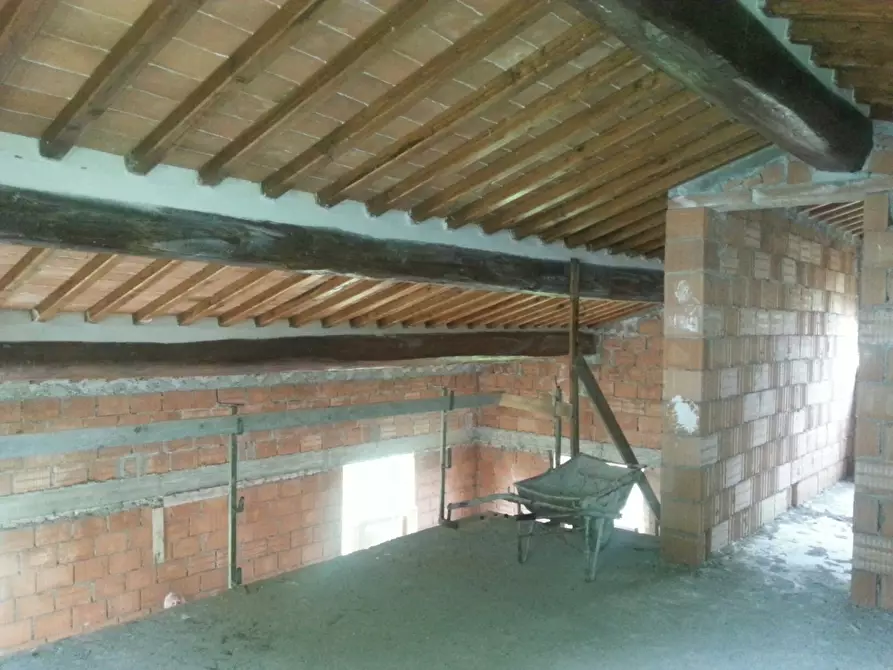 Immagine 14 di Villa in vendita  a San Giuliano Terme