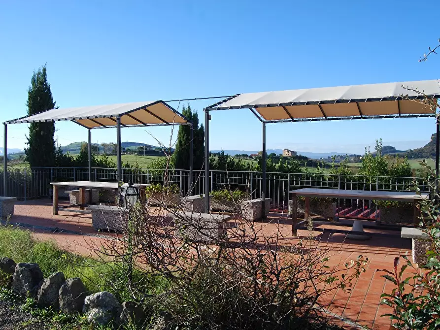 Immagine 13 di Casa colonica in vendita  a Volterra