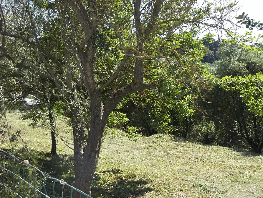 Immagine 5 di Terreno residenziale in vendita  a San Miniato