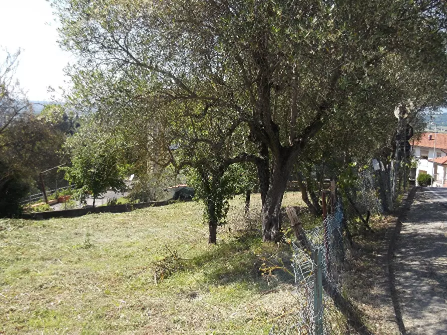 Immagine 4 di Terreno residenziale in vendita  a San Miniato