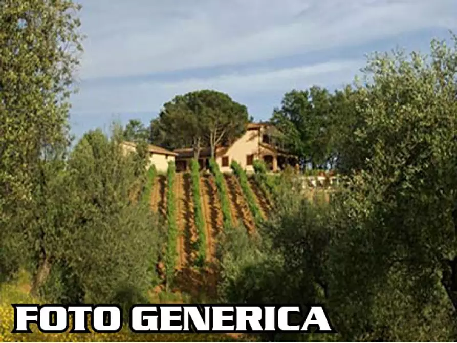 Immagine 1 di Azienda agricola in vendita  a Peccioli