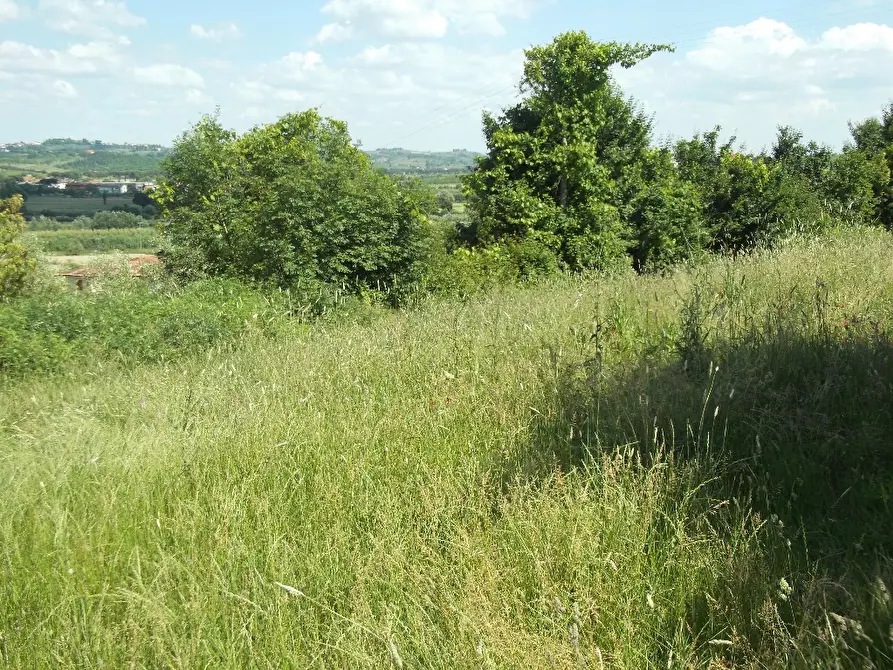 Immagine 1 di Terreno residenziale in vendita  a San Miniato