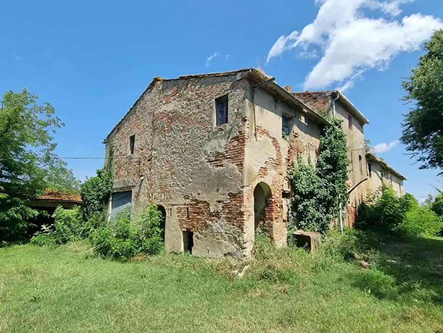 Immagine 1 di Rustico / casale in vendita  a Fauglia