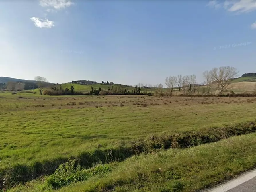 Immagine 1 di Terreno agricolo in vendita  a Collesalvetti