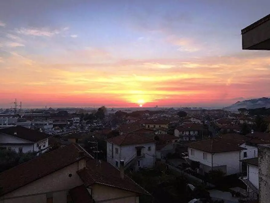 Immagine 5 di Appartamento in vendita  a Massa