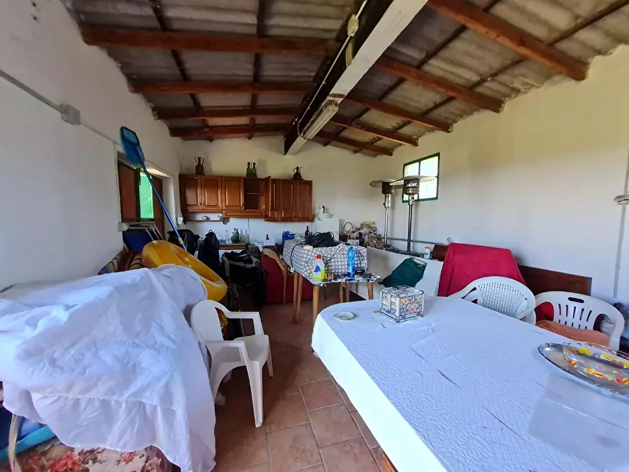 Immagine 29 di Casa colonica in vendita  a San Vincenzo