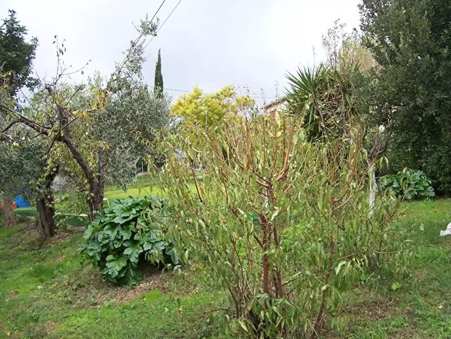 Immagine 15 di Casa colonica in vendita  a San Vincenzo