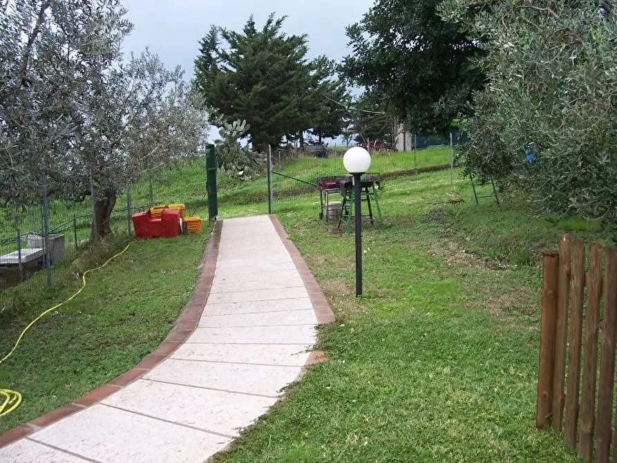Immagine 18 di Casa colonica in vendita  a San Vincenzo